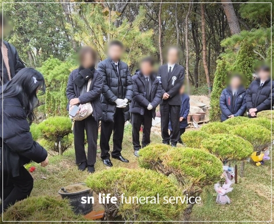 262974226cd3833fa643d784d0f7f27b_1766469782_4031.jpg 262974226cd3833fa643d784d0f7f27b_1766469782_4031.jpg