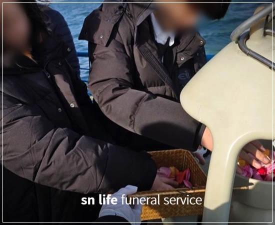 5379f801a22f010f4bc1362ec03dfd8c_1765784773_3219.jpg 5379f801a22f010f4bc1362ec03dfd8c_1765784773_3219.jpg