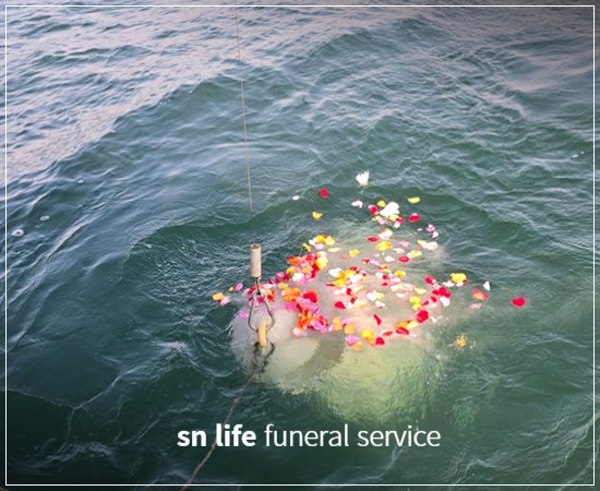 5379f801a22f010f4bc1362ec03dfd8c_1765784773_9469.jpg 5379f801a22f010f4bc1362ec03dfd8c_1765784773_9469.jpg