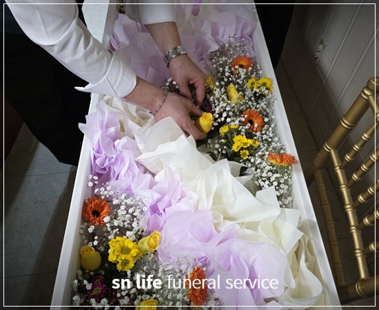 3a8e4ebfe460740df01f839d0a216b1a_1768542227_1468.jpg 3a8e4ebfe460740df01f839d0a216b1a_1768542227_1468.jpg