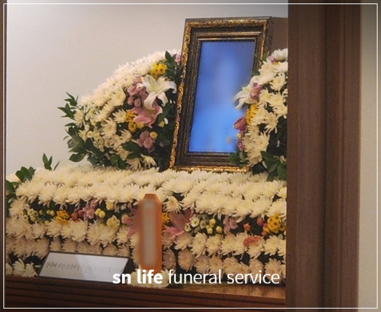 c112a9dcd1bf070dde511458452ab8b1_1768356042_1229.jpg c112a9dcd1bf070dde511458452ab8b1_1768356042_1229.jpg