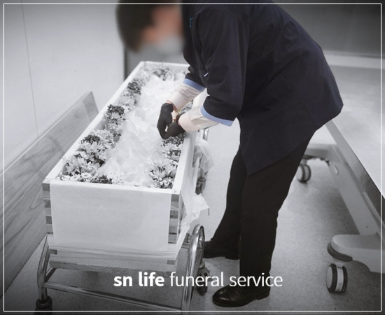 c112a9dcd1bf070dde511458452ab8b1_1768356067_1096.jpg c112a9dcd1bf070dde511458452ab8b1_1768356067_1096.jpg