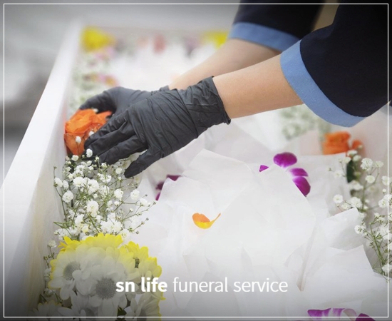 d34600446686e3724df4bb40cc95452d_1769155452_102.jpg d34600446686e3724df4bb40cc95452d_1769155452_102.jpg