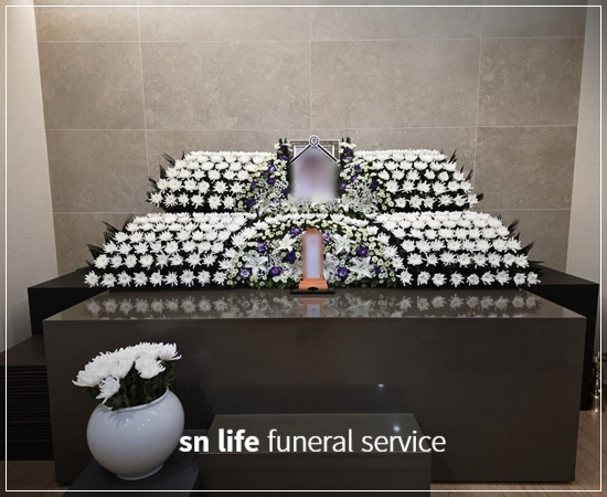 efc97ddf53c38fd4852a091c2132728a_1767775286_6017.jpg efc97ddf53c38fd4852a091c2132728a_1767775286_6017.jpg