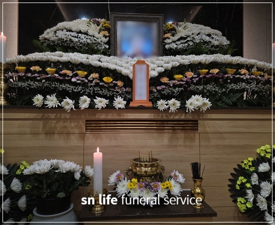 0881a412f732b4a8ff6bb0eb4d4a1ad2_1771575088_0438.jpg 0881a412f732b4a8ff6bb0eb4d4a1ad2_1771575088_0438.jpg