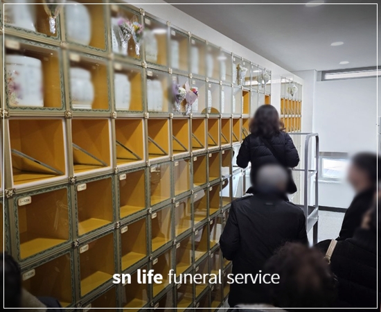 0881a412f732b4a8ff6bb0eb4d4a1ad2_1771575099_5711.jpg 0881a412f732b4a8ff6bb0eb4d4a1ad2_1771575099_5711.jpg