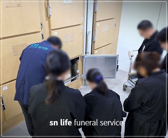 718efce06463319ec0856e031c70d330_1770866280_4958.jpg 718efce06463319ec0856e031c70d330_1770866280_4958.jpg