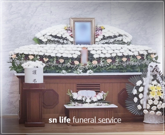 cbe15c2d10c1f5fd4a8140b056edcb27_1771489675_582.jpg cbe15c2d10c1f5fd4a8140b056edcb27_1771489675_582.jpg