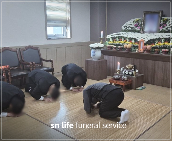 47de0cfba237f632b5906664910bac79_1773904438_3501.jpg 47de0cfba237f632b5906664910bac79_1773904438_3501.jpg