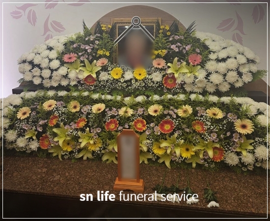d98d8f261bc4c94d4971f63c0c33eefa_1783399221_8663.jpg d98d8f261bc4c94d4971f63c0c33eefa_1783399221_8663.jpg